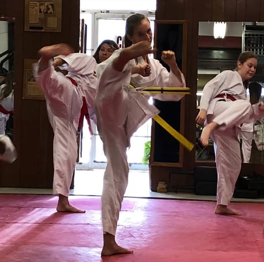 taekwondo girl practice